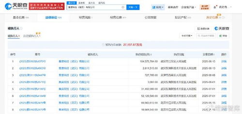 集度科技武汉公司被执行1.04亿，互联网信息服务行业风险警钟长鸣